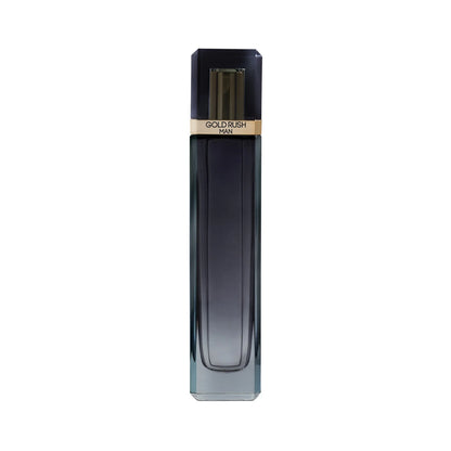 Paris Hilton Gold Rush Perfume Para Hombre Eau De Toilette (100mL/3.4oz)
